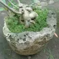 morepic-6